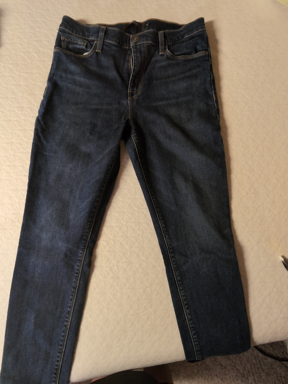 Hudson Jeans Women's Skinny Dark Blue Denim